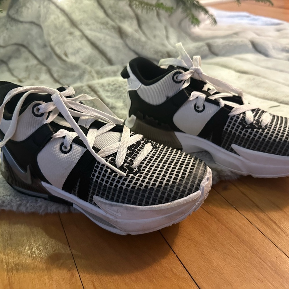 Nike LeBron Sneakers